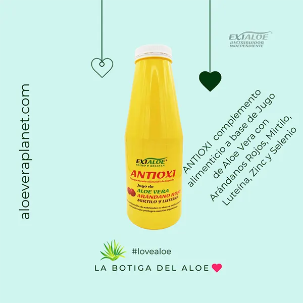 title-Jugo de Aloe+Arandanos+Vitaminas Antioxi 1000 ml-Aloe vera puro certificado tu tienda online La Botiga del Aloe-aloeveraplanet.com-title