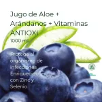 Jugo de Aloe+Arandanos+Vitaminas Antioxi 1000 ml.