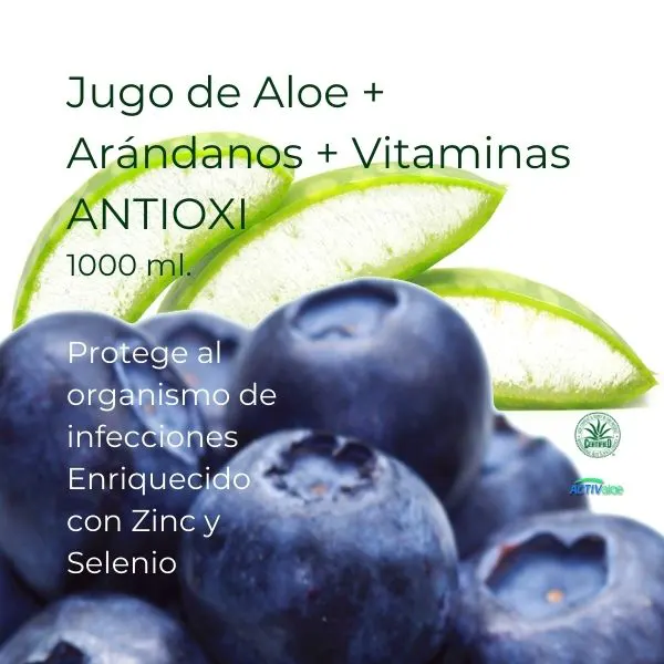 title-Jugo de Aloe+Arandanos+Vitaminas Antioxi 1000 ml-Aloe vera puro certificado tu tienda online La Botiga del Aloe-aloeveraplanet.com-title